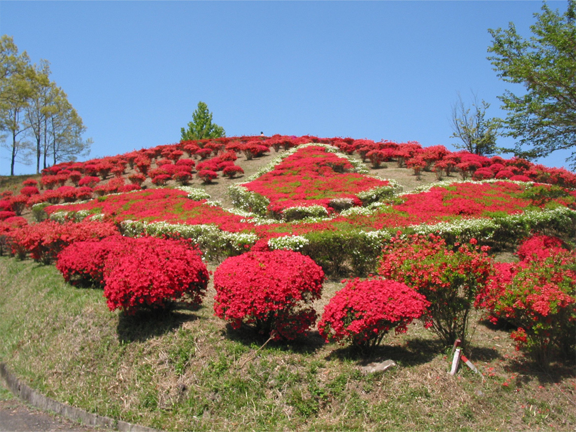 山江村