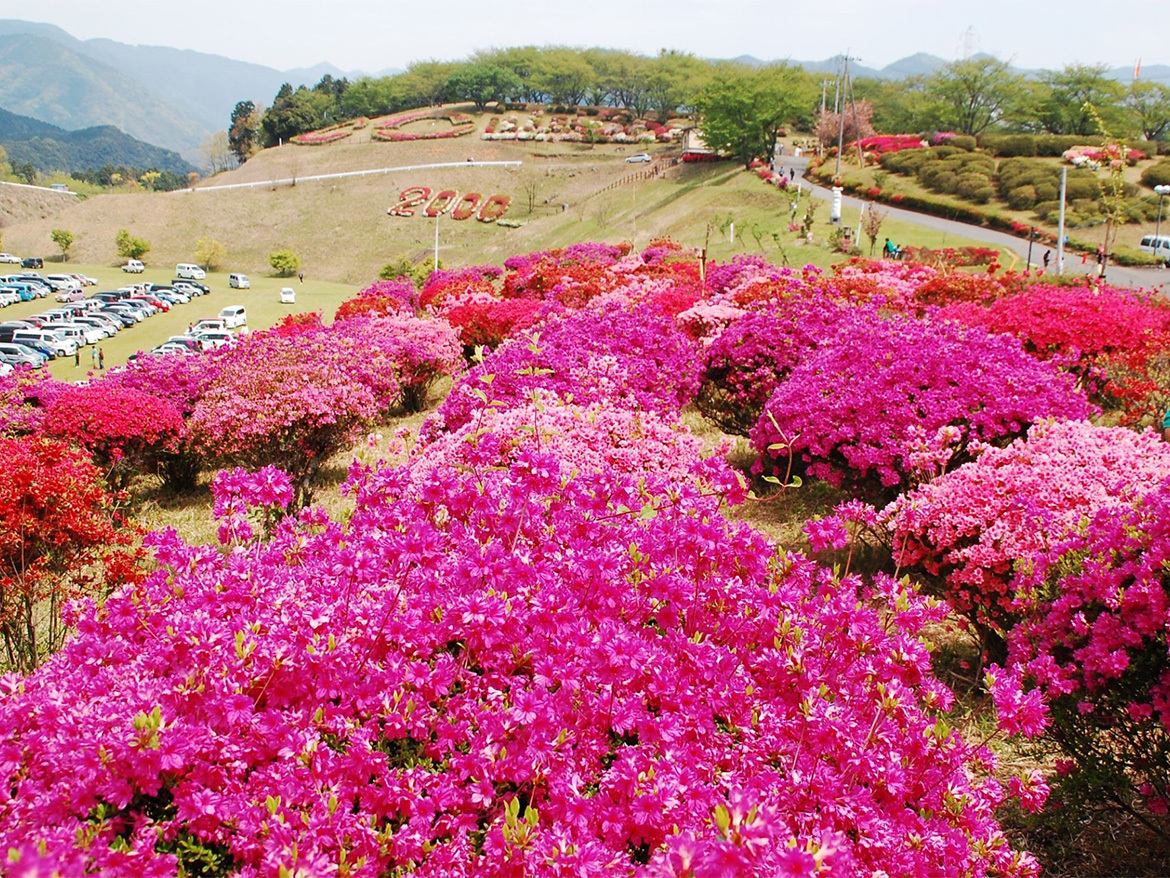 山江村